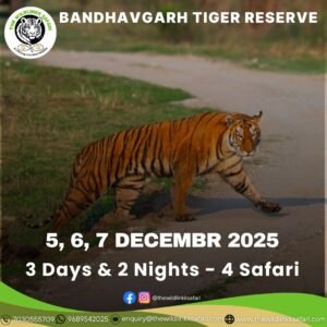 Bandhavgarh Tiger Reserve 3D-2N 5-7 Dec 25