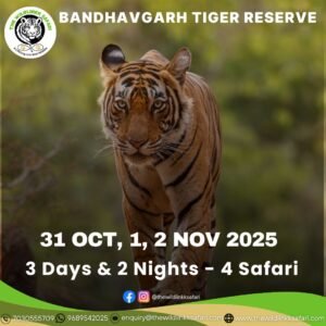 Bandhavgarh Tiger Reserve 3D-2N 31 Oct-2 Nov 25