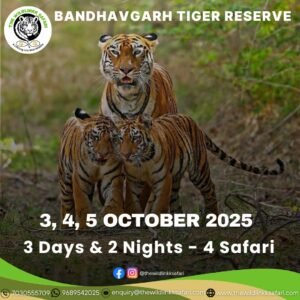 Bandhavgarh Tiger Reserve 3D-2N 3-5 Oct 25