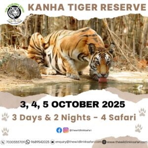 Kanha Tiger Reserve 3D-2N 3-5 Oct 25