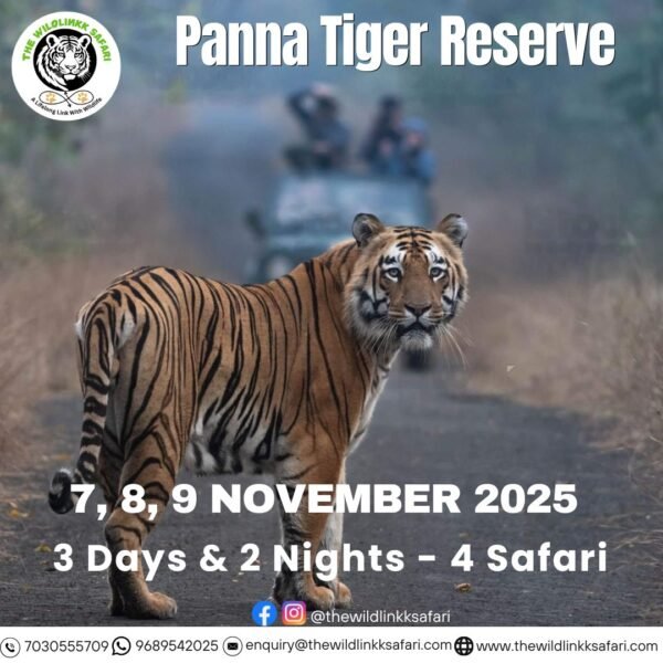 Panna Tiger Reserve 3D-2N 7-9 Nov 25