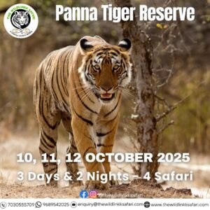 Panna Tiger Reserve 3D-2N 10-12 Oct 25