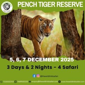 Pench Tiger Reserve 3D-2N 5-7 Dec 25