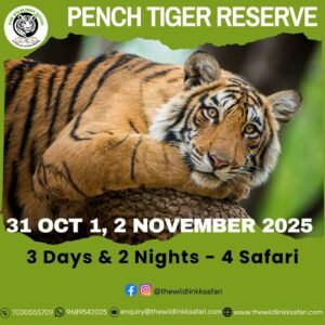 Pench Tiger Reserve 3D-2N 31 Oct-2 Nov 25
