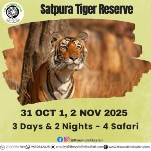 Satpura Tiger Reserve 3D-2N 31 Oct-2 Nov 25 - Ex Itarsi