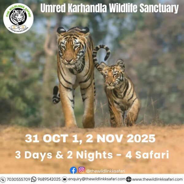 Umred Karhandla Wildlife Sanctuary 3D-2N 31 Oct-2 Nov 25