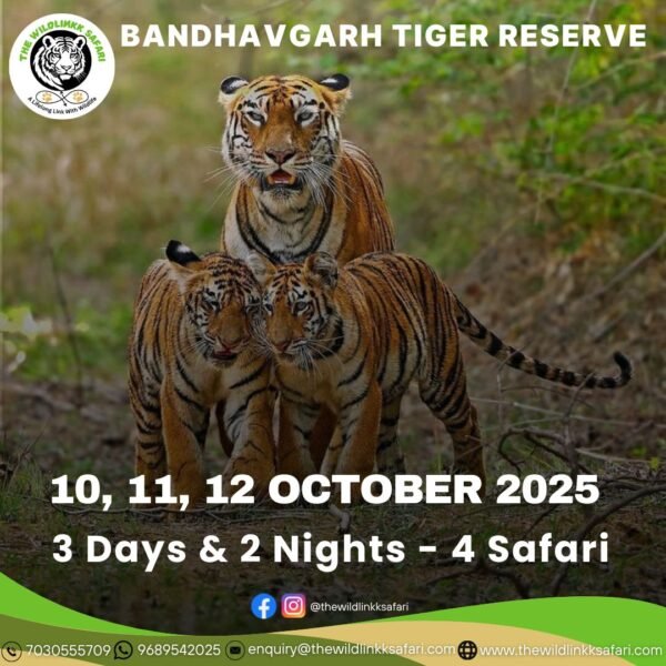 Bandhavgarh Tiger Reserve 3D-2N 10-12 Oct 25