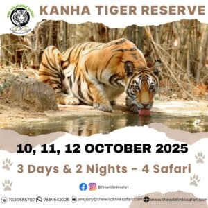 Kanha Tiger Reserve 3D-2N 10-12 Oct 25