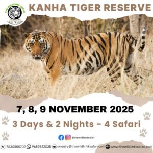 Kanha Tiger Reserve 3D-2N 7-9 Nov 25