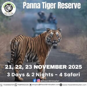 Panna Tiger Reserve 3D-2N 21-23 Nov 25