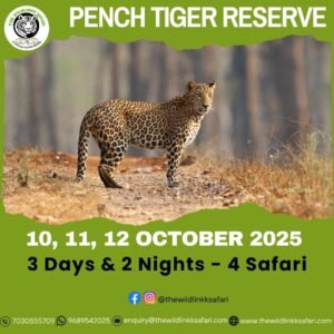 Pench Tiger Reserve 3D-2N 10-12 Oct 25