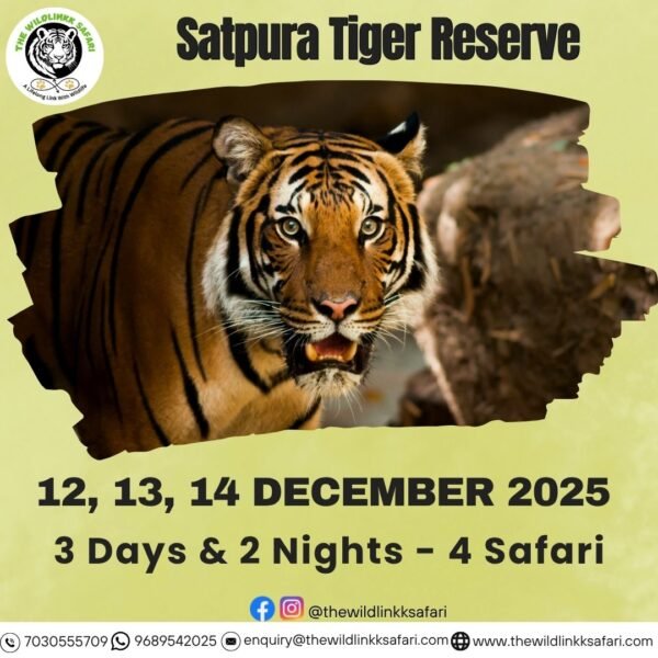 Satpura Tiger Reserve 3D-2N 12-14 Dec 25 - Ex Itarsi