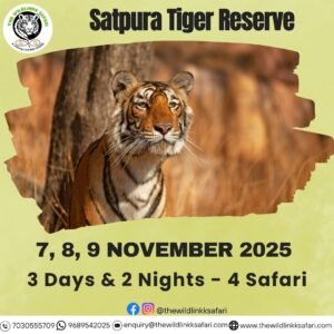 Satpura Tiger Reserve 3D-2N 7-9 Nov 25 - Ex Itarsi