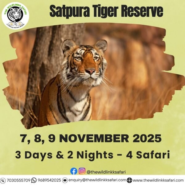 Satpura Tiger Reserve 3D-2N 7-9 Nov 25 - Ex Bhopal