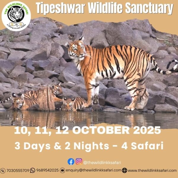 Tipeshwar Wildlife Sanctuary 3D-2N 10-12 Oct 25