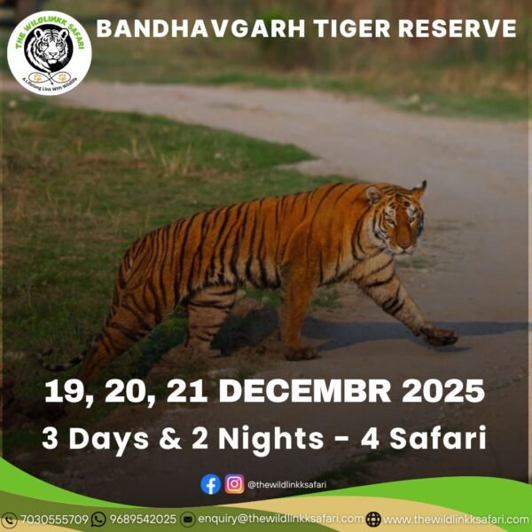 Bandhavgarh Tiger Reserve 3D-2N 19-21 Dec 25