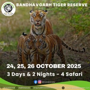 Bandhavgarh Tiger Reserve 3D-2N 24-26 Oct 25