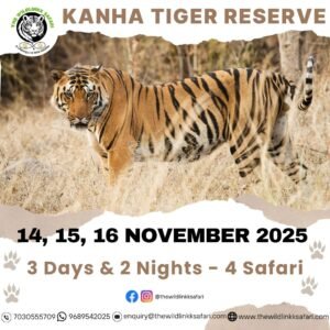 Kanha Tiger Reserve 3D-2N 14-16 Nov 25
