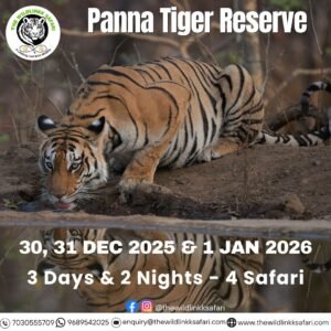 Panna Tiger Reserve 3D-2N 30 Dec 25-1 Jan 26