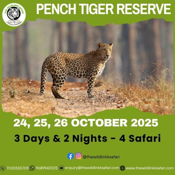 Pench Tiger Reserve 3D-2N 24-26 Oct 25
