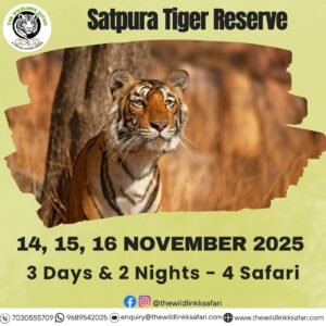 Satpura Tiger Reserve 3D-2N 14-16 Nov 25 - Ex Itarsi