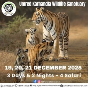 Umred Karhandla Wildlife Sanctuary 3D-2N 19-21 Dec 25