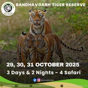 Bandhavgarh Tiger Reserve 3D-2N 29-31 Oct 25