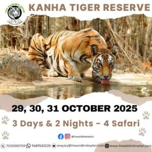 Kanha Tiger Reserve 3D-2N 29-31 Oct 25