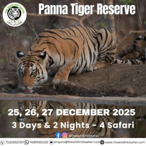 Panna Tiger Reserve 3D-2N 25-27 Dec 25