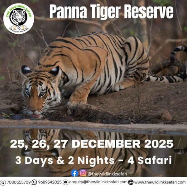 Panna Tiger Reserve 3D-2N 25-27 Dec 25
