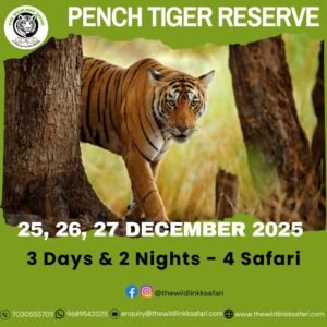 Pench Tiger Reserve 3D-2N 25-27 Dec 25