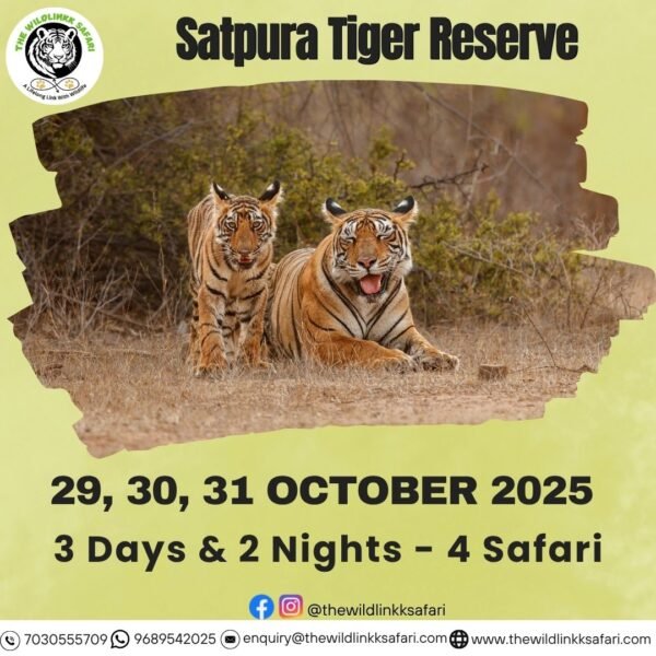 Satpura Tiger Reserve 3D-2N 29-31 Oct 25 - Ex Bhopal