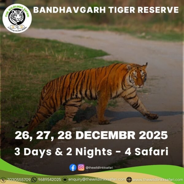 Bandhavgarh Tiger Reserve 3D-2N 26-28 Dec 25