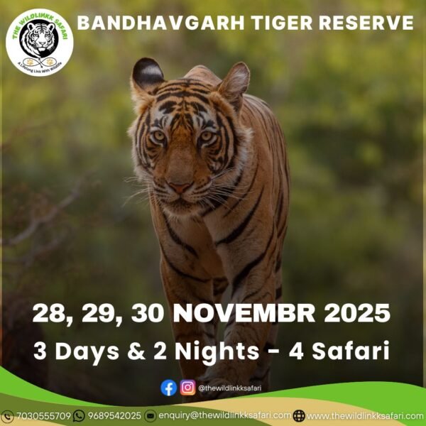 Bandhavgarh Tiger Reserve 3D-2N 28-30 Nov 25