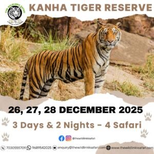 Kanha Tiger Reserve 3D-2N 26-28 Dec 25