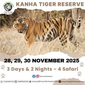 Kanha Tiger Reserve 3D-2N 28-30 Nov 25