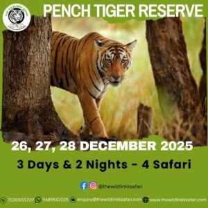 Pench Tiger Reserve 3D-2N 26-28 Dec 25