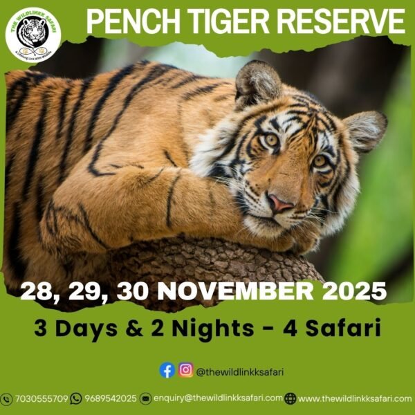 Pench Tiger Reserve 3D-2N 28-30 Nov 25