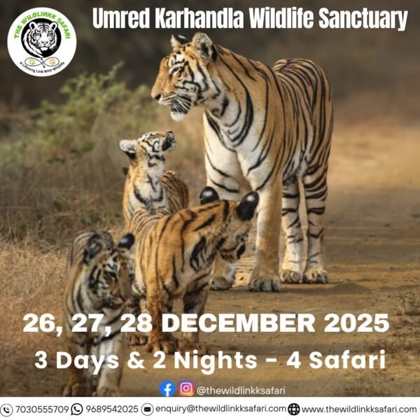 Umred Karhandla Wildlife Sanctuary 3D-2N 26-28 Dec 25
