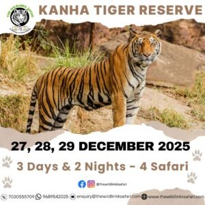 Kanha Tiger Reserve 3D-2N 27-29 Dec 25