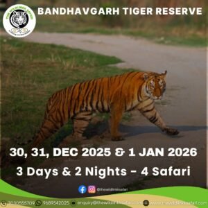 Bandhavgarh Tiger Reserve 3D-2N 30 Dec 25-1 Jan 26