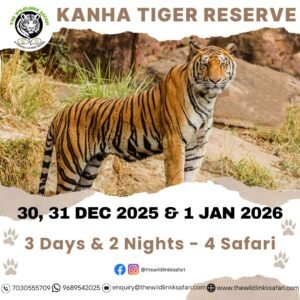 Kanha Tiger Reserve 3D-2N 30 Dec 25-1 Jan 26