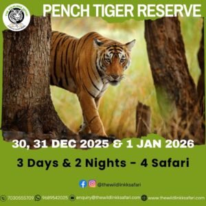 Pench Tiger Reserve 3D-2N 30 Dec 25-1 Jan 26