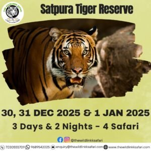 Satpura Tiger Reserve 3D-2N 30 Dec 25-1 Jan 26 - Ex Itarsi