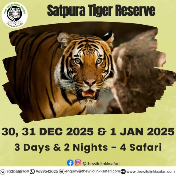 Satpura Tiger Reserve 3D-2N 30 Dec 25-1 Jan 26 - Ex Bhopal