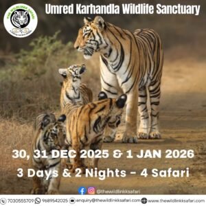Umred Karhandla Wildlife Sanctuary 3D-2N 30 Dec 25-1 Jan 26
