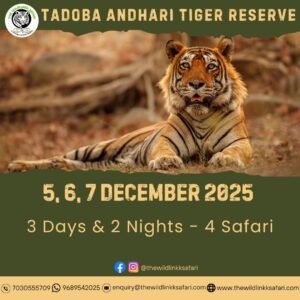 Tadoba Andhari Tiger Reserve 3D-2N 5-7 Dec 25