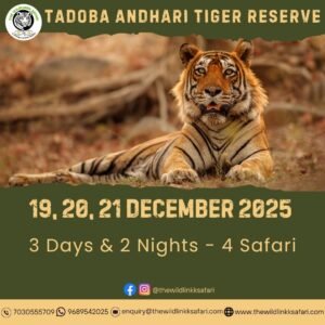 Tadoba Andhari Tiger Reserve 3D-2N 19-21 Dec 25