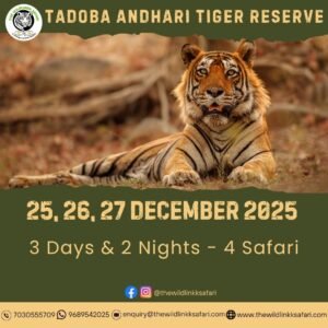 Tadoba Andhari Tiger Reserve 3D-2N 25-27 Dec 25