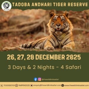 Tadoba Andhari Tiger Reserve 3D-2N 26-28 Dec 25